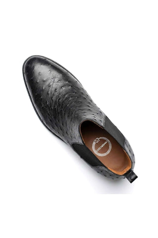 Ambrogio Anthony Ostrich Chelsea Boot
