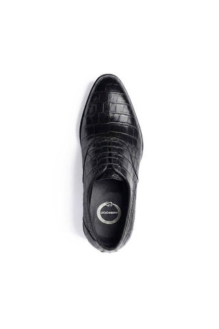 Ambrogio "Cyrus" Alligator Wholecut Oxford