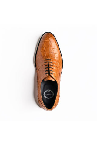 Ambrogio "Cyrus" Alligator Wholecut Oxford-AmbrogioShoes