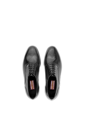 Artioli Ascanio Calf-Skin Leather Oxford (ART1189)-AmbrogioShoes