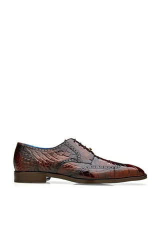 Belvedere Santo Alligator Derby-AmbrogioShoes