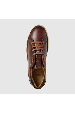 Brivio Leather Sneaker-Dellamoda