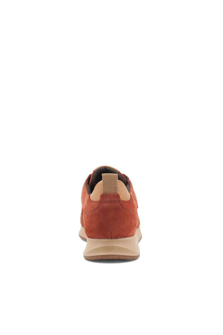 Bruno Magli Capri Suede Sneaker (BM1089)-AmbrogioShoes