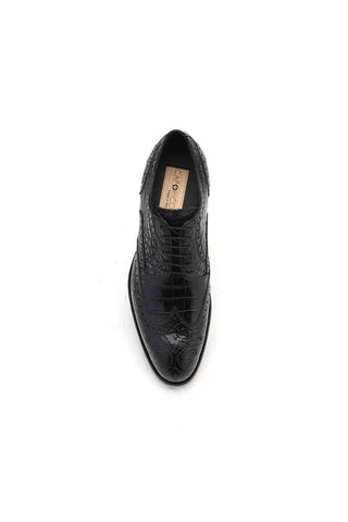 Caporicci 3318 Alligator Wing-Tip Derby