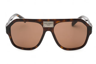 Dolce & Gabbana 0DG4433 Sunglasses Havana / Dark Brown-AmbrogioShoes