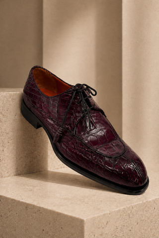 Fennix Benjamin Alligator Derby-AmbrogioShoes