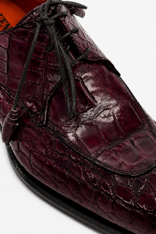 Fennix Benjamin Alligator Derby-AmbrogioShoes