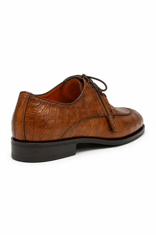 Fennix Benjamin Alligator Derby-AmbrogioShoes