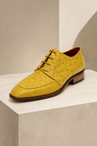 Fennix Charles Ostrich Derby-AmbrogioShoes