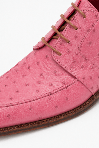 Fennix Charles Ostrich Derby-AmbrogioShoes