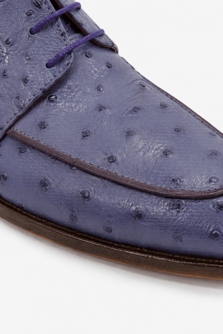 Fennix Charles Ostrich Derby-AmbrogioShoes