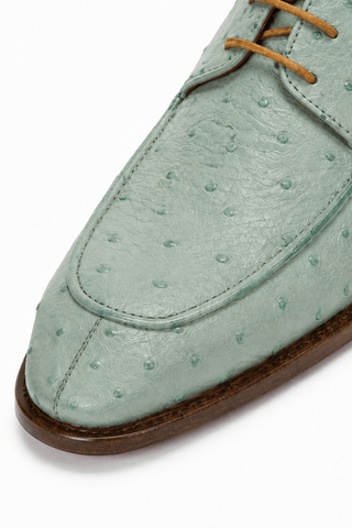 Fennix Charles Ostrich Derby-AmbrogioShoes
