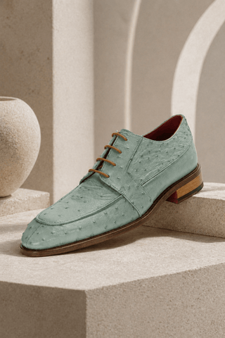 Fennix Charles Ostrich Derby-AmbrogioShoes