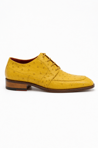 Fennix Charles Ostrich Derby-AmbrogioShoes