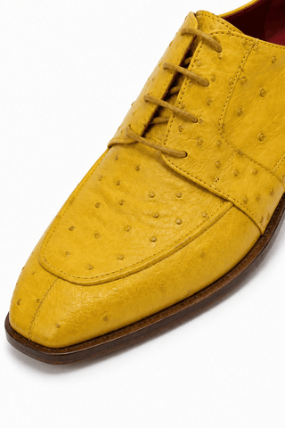 Fennix Charles Ostrich Derby-AmbrogioShoes