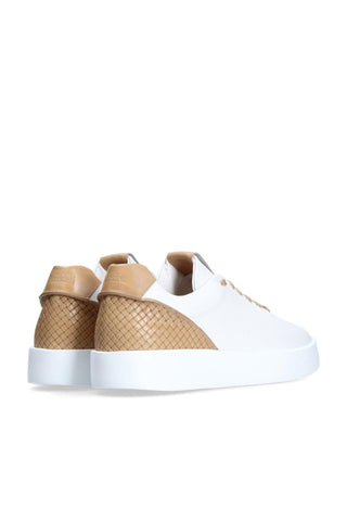 Franceschetti Elia Woven / Leather Casual Sneakers (FCCT1057)-AmbrogioShoes